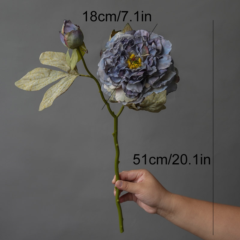 1 szt. Lekki luksus, 2-główkow – Photography Lighting Simulator Free recenzja i cena